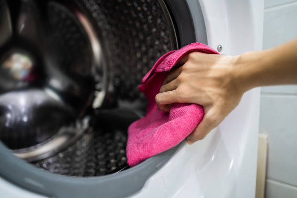 Professional Mold Removal in Central Point, OR
