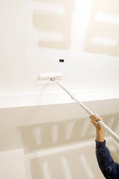 Best Basement Mold Removal  in Central Point, OR